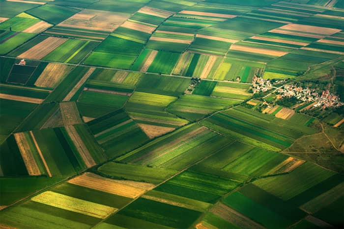 Estate Planning & Probate